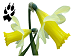 Logo de Primarette